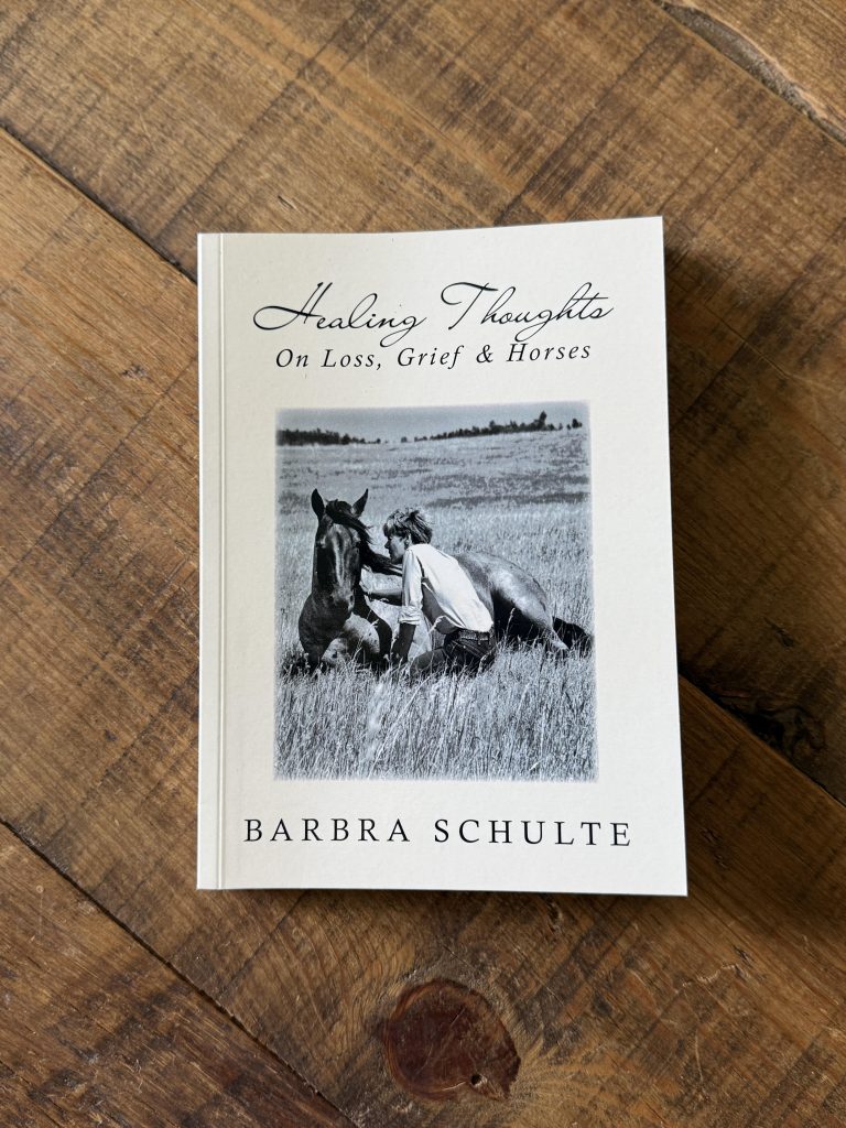 Healing Thoughts On Loss, Grief and Horses Book
