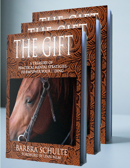 The GIFT, 3 Book Bundle - Summer Special $72.00